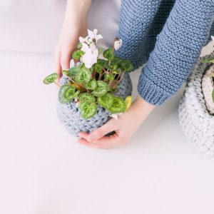 Garden Basics for Beginners